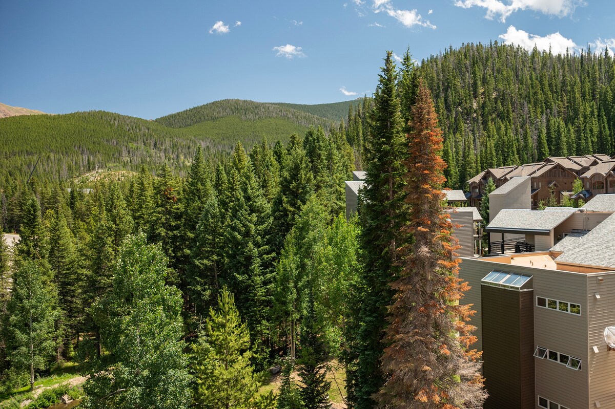 Scenic views: <span>Mountain View</span>