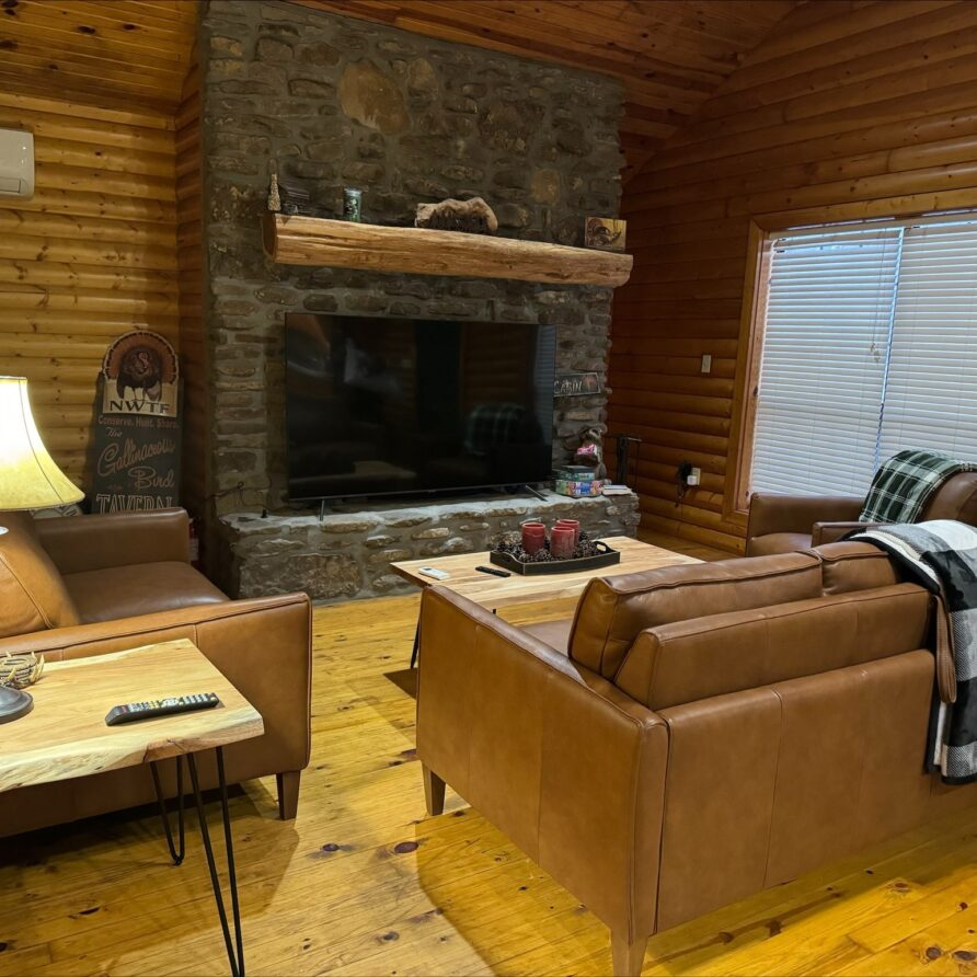 Entire Cabin in Hagarville, Arkansas, United States